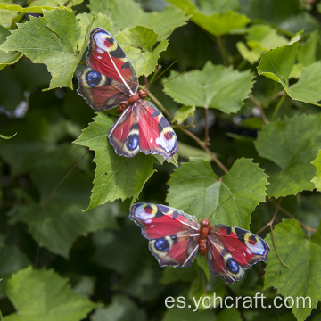 Pascua encuentra la mariposa